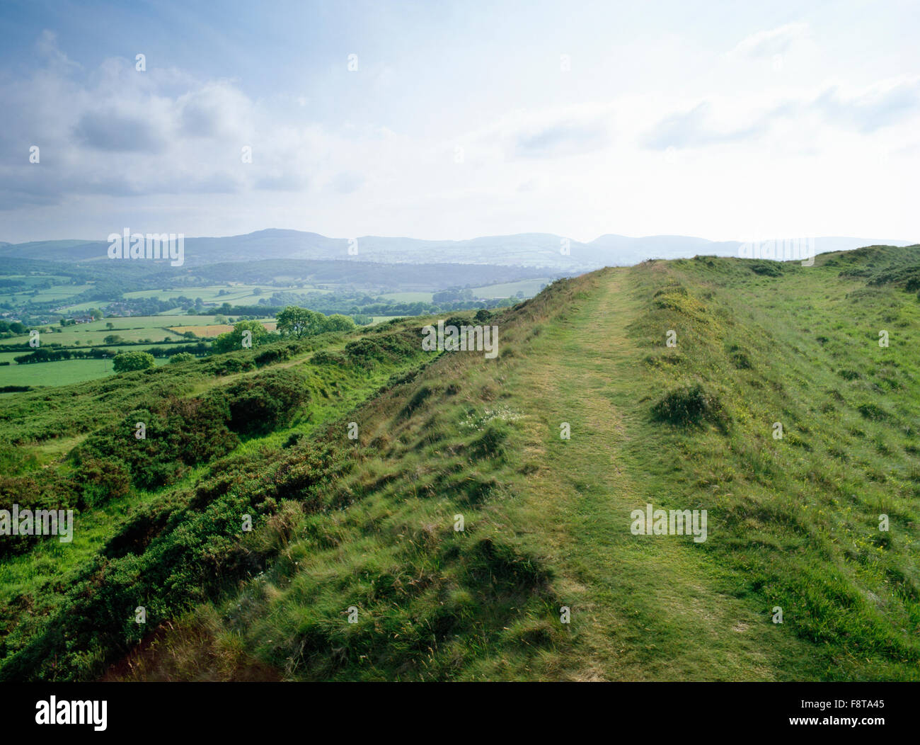 Inner rampart with outer ditch & counterscarp bank of Moel y Gaer (Rhosesmor) hillfort, Flintshire, looking SW to the Clwydian Range of hills. Stock Photo