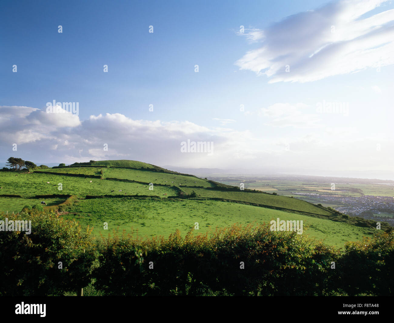 Bronze age round barrow on hires stock photography and images Alamy