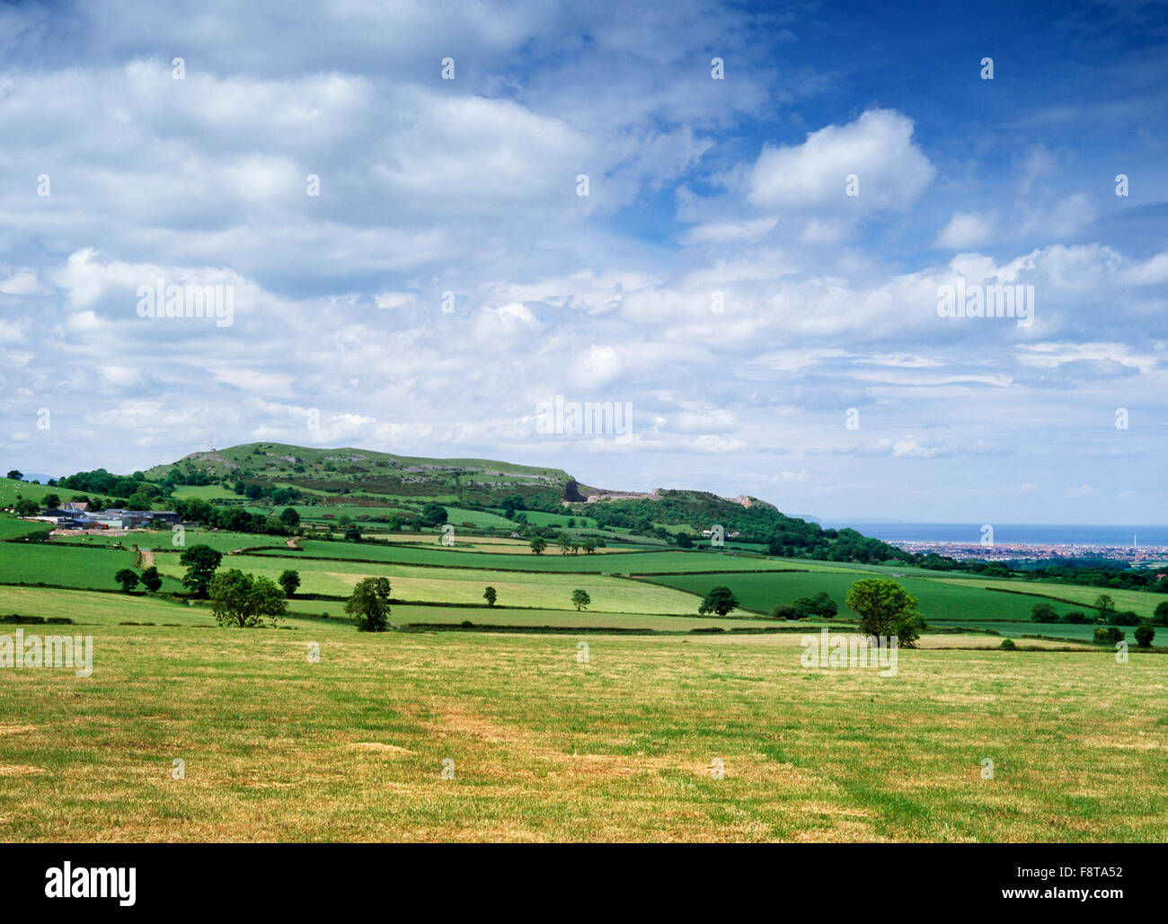 View NW to ramparts of Moel Hiraddug hillfort on a prominent limestone ridge being quarried at the N end of the Clwydian Hills, Denbighshire. Stock Photo
