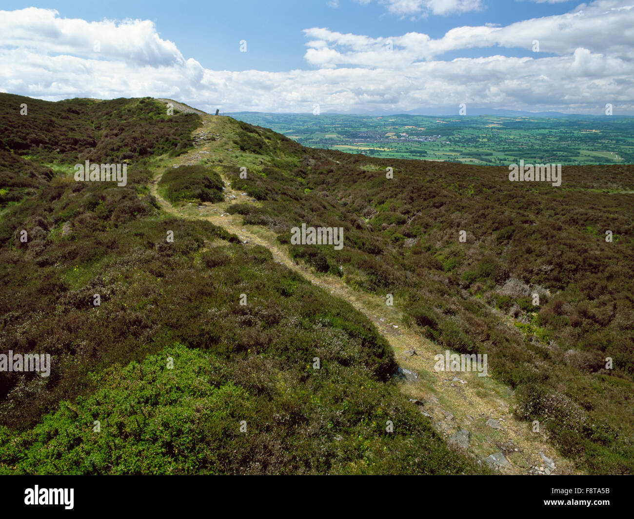 N ramparts & entrance defences of Penycloddiau hillfort looking WSW to Denbigh & Vale of Clwyd. Marker post for Offa's Dyke Path passing through fort. Stock Photo