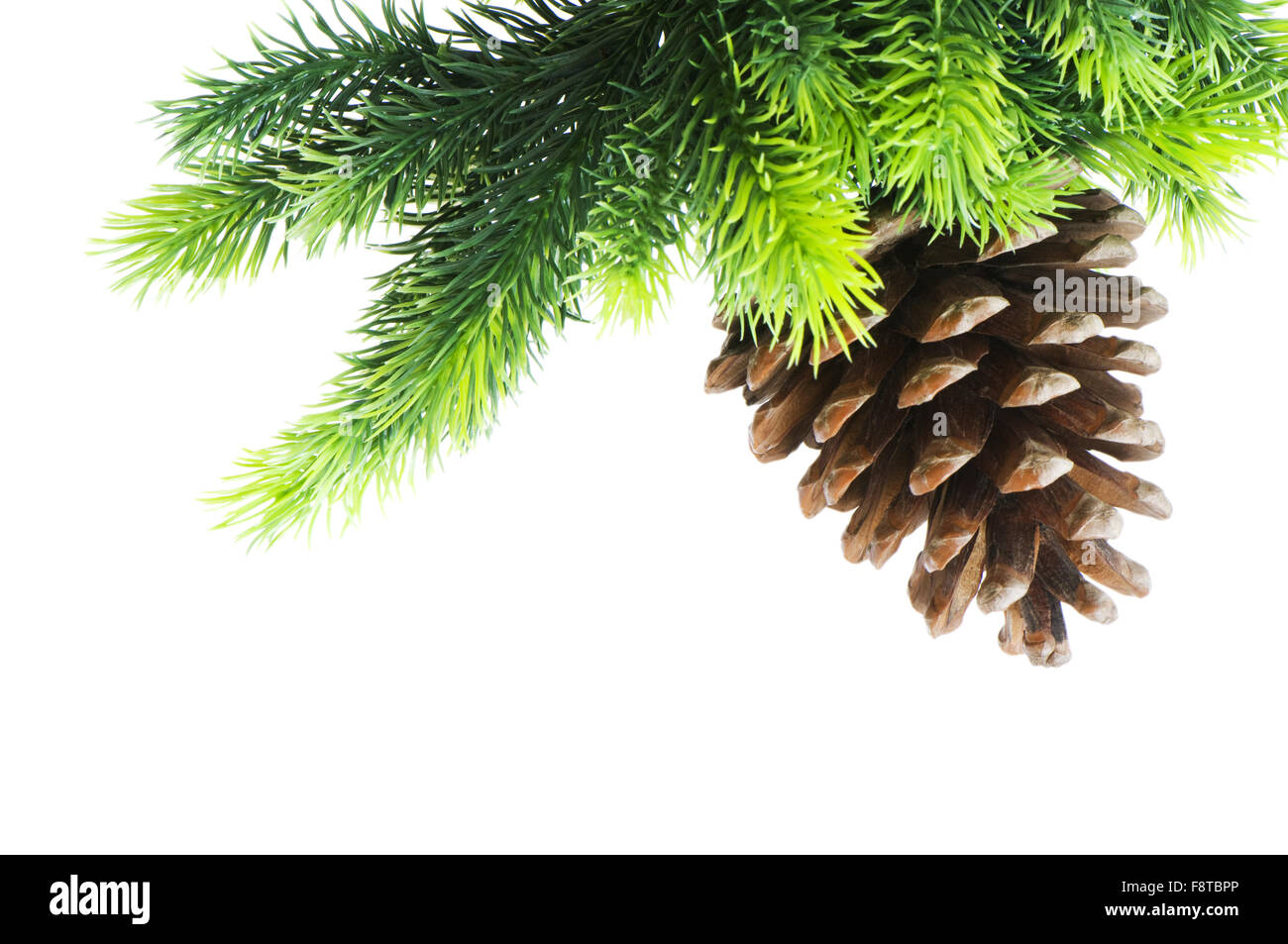 Christmas tree isolated on the white background Stock Photo - Alamy