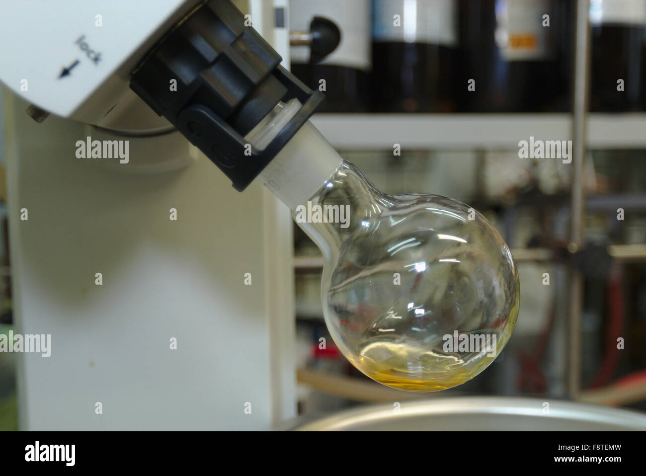 Flask attached to a rotary evaporator Stock Photo Alamy