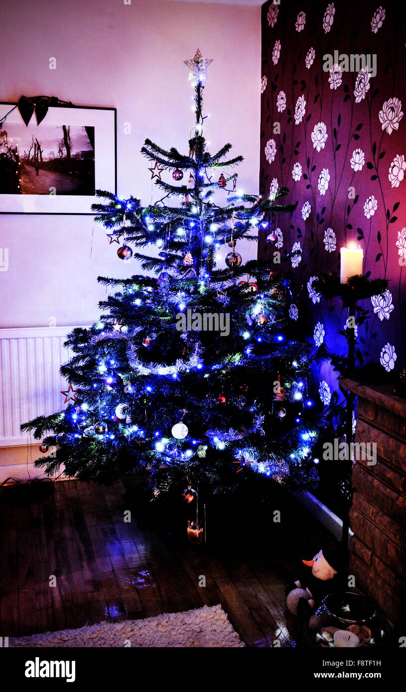 Traditional real Nordic Fir Christmas tree with lights and decorations standing in corner of living room for festive season Stock Photo