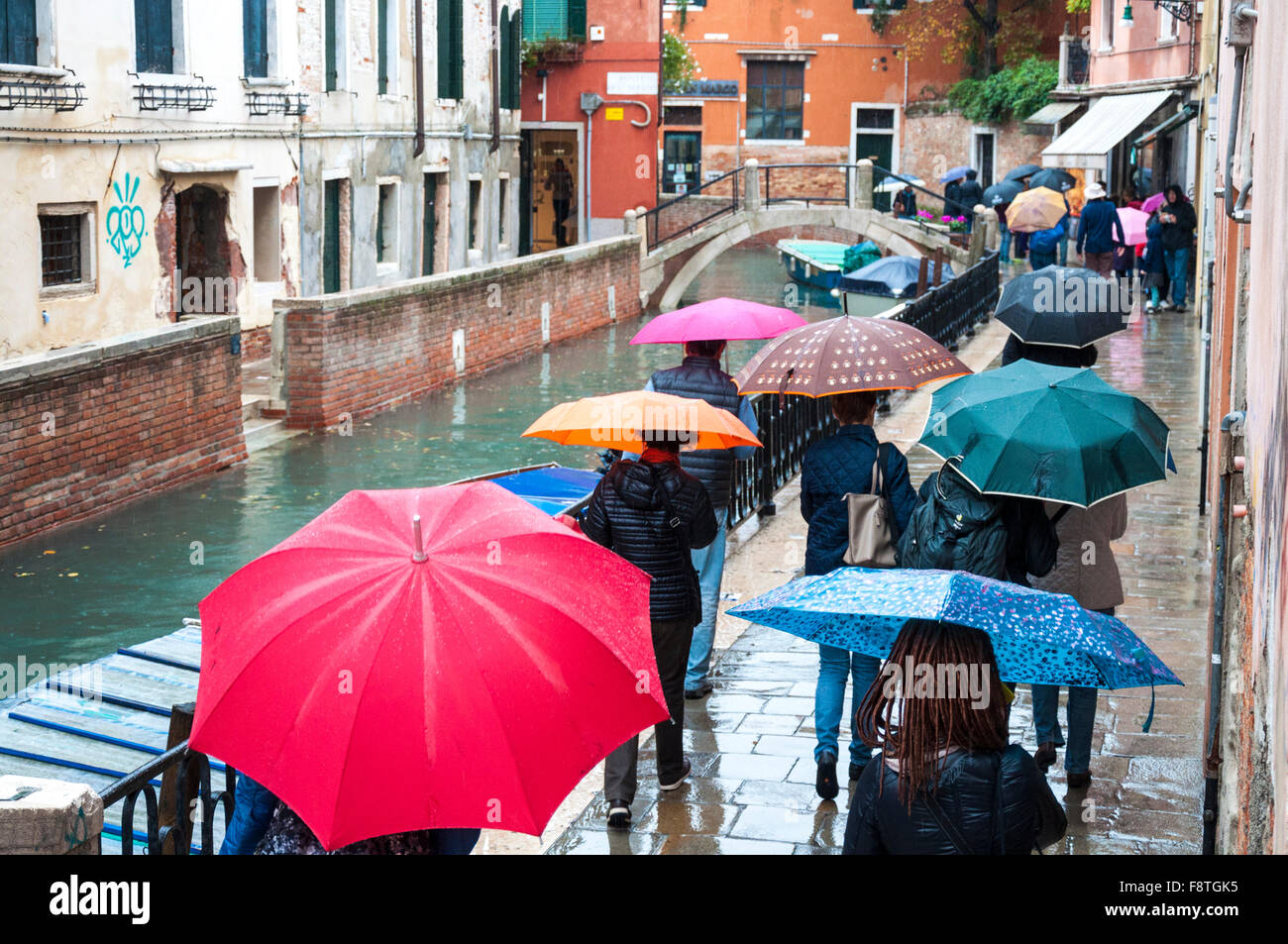 Umbrellas in the rain, Venice, Italy Stock Photo Alamy