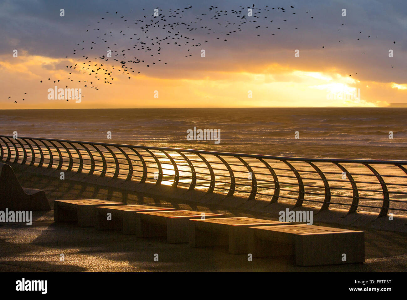 Blackpool, Lancashire, UK 11th December, 2015. UK Weather.  Dramatic sunset over the Blackpool with flocks of Starlings and Starling mumuration near the North Pier at dusk. Many, many thousands of starlings gather at sunset to avail themselves of the shelter offered by the steel girders and supporting structures of both the Central and North piers, which deflect the winter winds lashing the north-west coast.  Credit:  MarPhotographics/Alamy Live News Stock Photo
