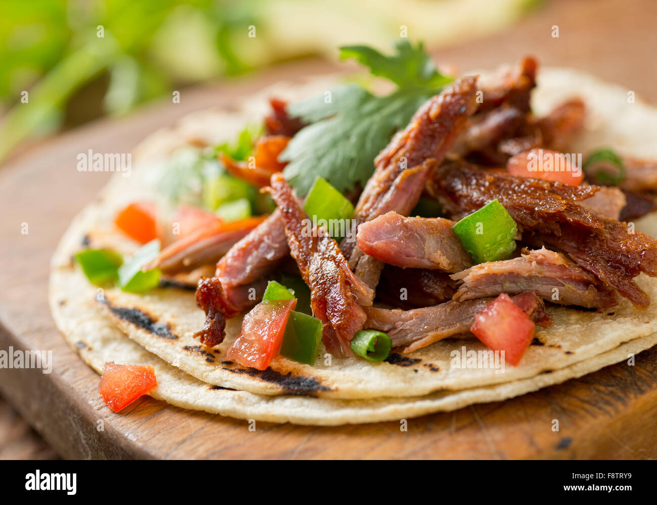 A delicious pulled pork taco with tomato, jalapeno pepper, green onion, and cilantro on a grilled corn tortilla. Stock Photo