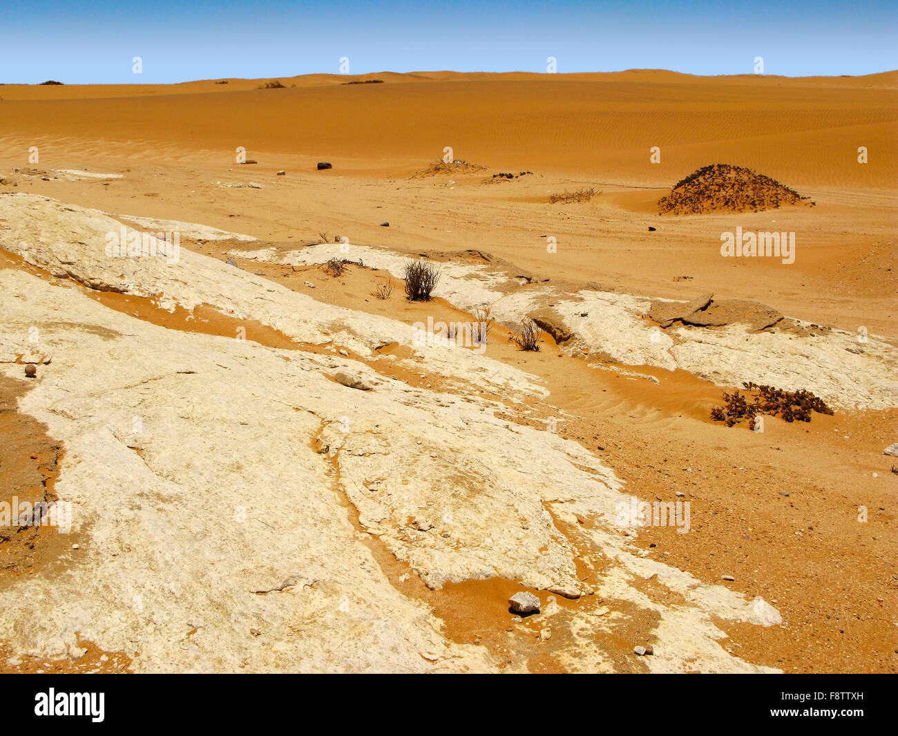 Small orange colored dunes and fragments of white surface of dry Namib desert in Namibia near Swakopmund town on the Atlantic oc Stock Photo