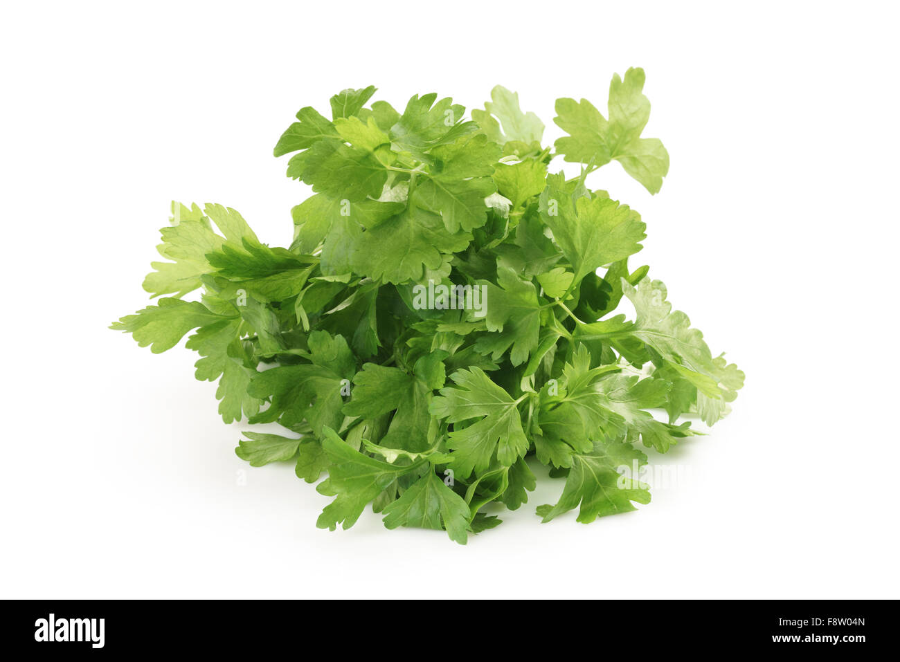 bunch of fresh parsley isolated Stock Photo Alamy