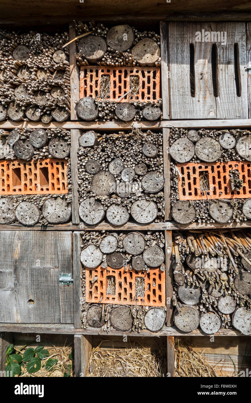 Insect hotel for solitary bees and nesting place for invertebrates offering nest holes in hollow stems, bricks and wood blocks Stock Photo