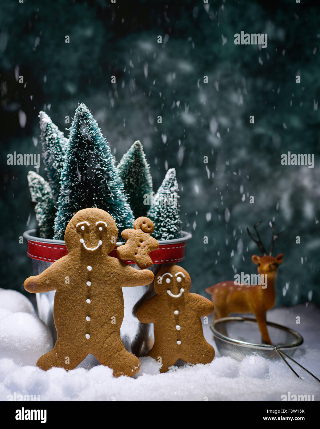 Freshly baked gingerbread cookies for Christmas Stock Photo