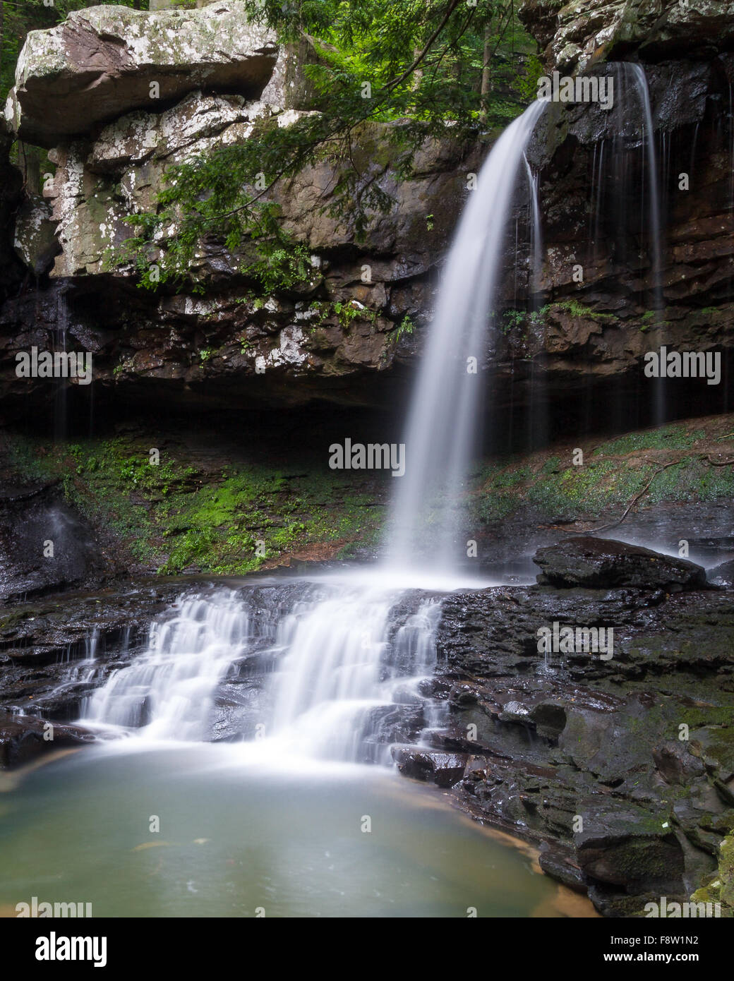 Falls on Daniel Creek at Cloudland Canyon State Park in Stock