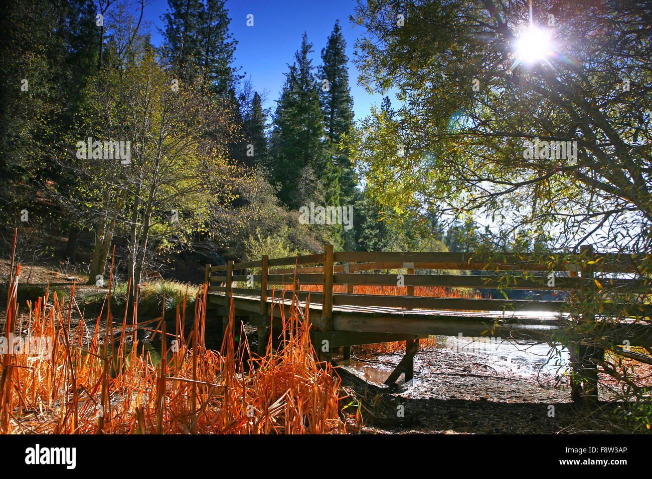 Lakeside Bridge Landscape Stock Photo