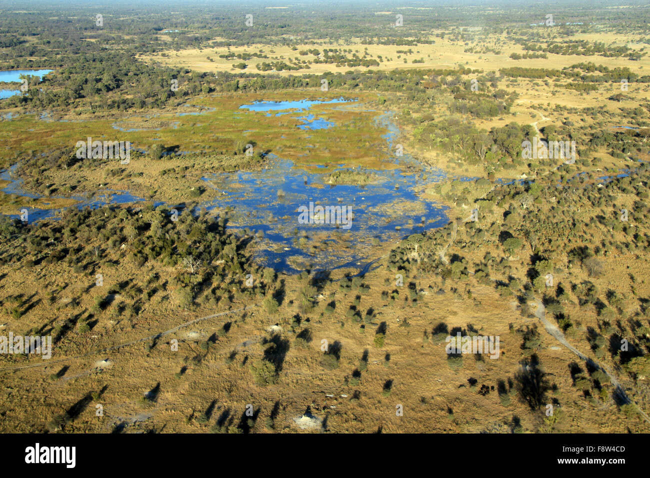 Aerial Photo of the Okavango Delta, Botswana Stock Photo