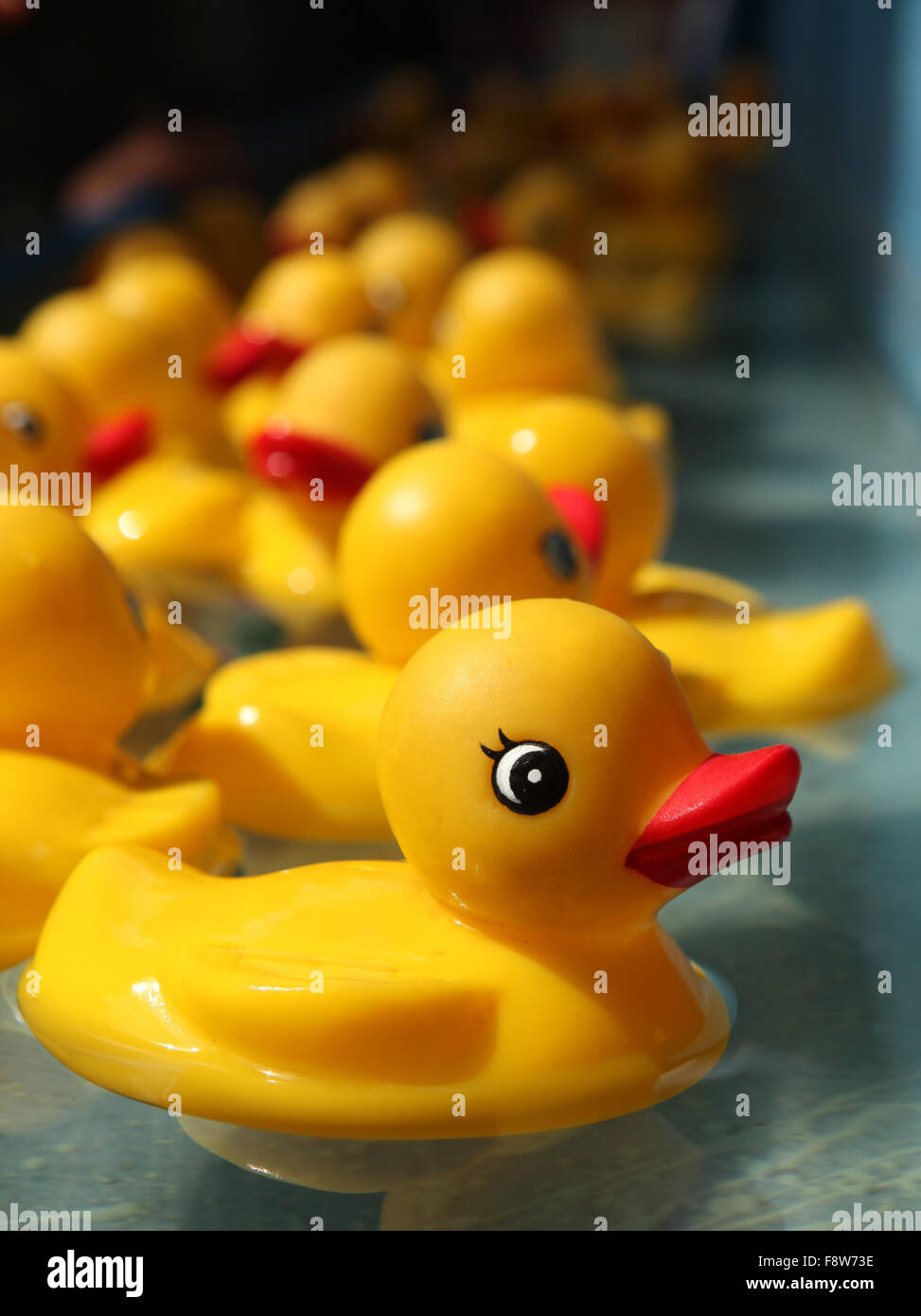 Rubber Duckies Floating in a Carnival Game Stock Photo Alamy
