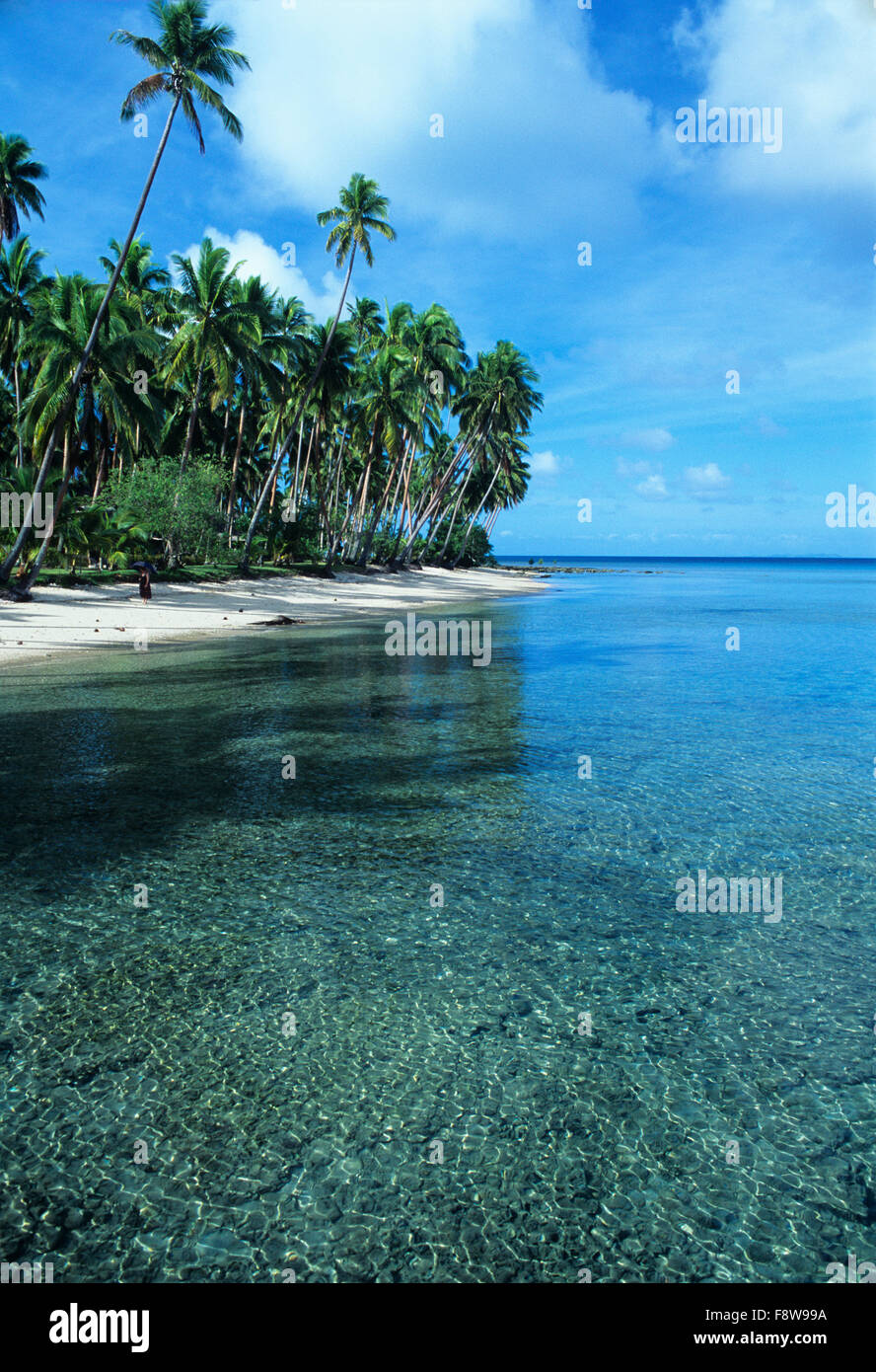 Fiji Islands, Viti Levu, Jean-Michel Cousteau, Fiji Islands Resort, island beach scene Stock Photo