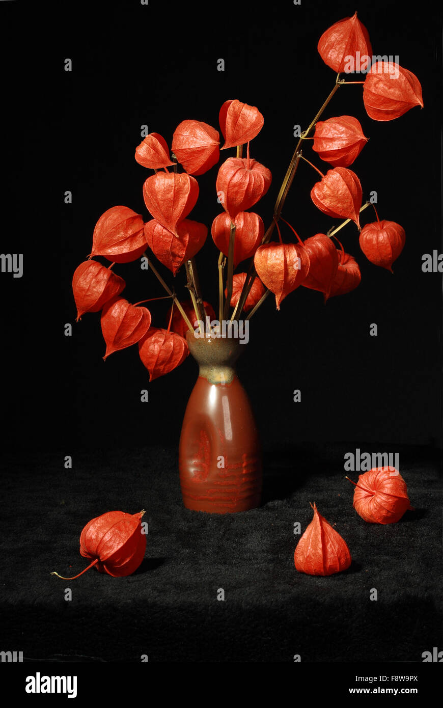 Bouquet with dry orange flowers Stock Photo