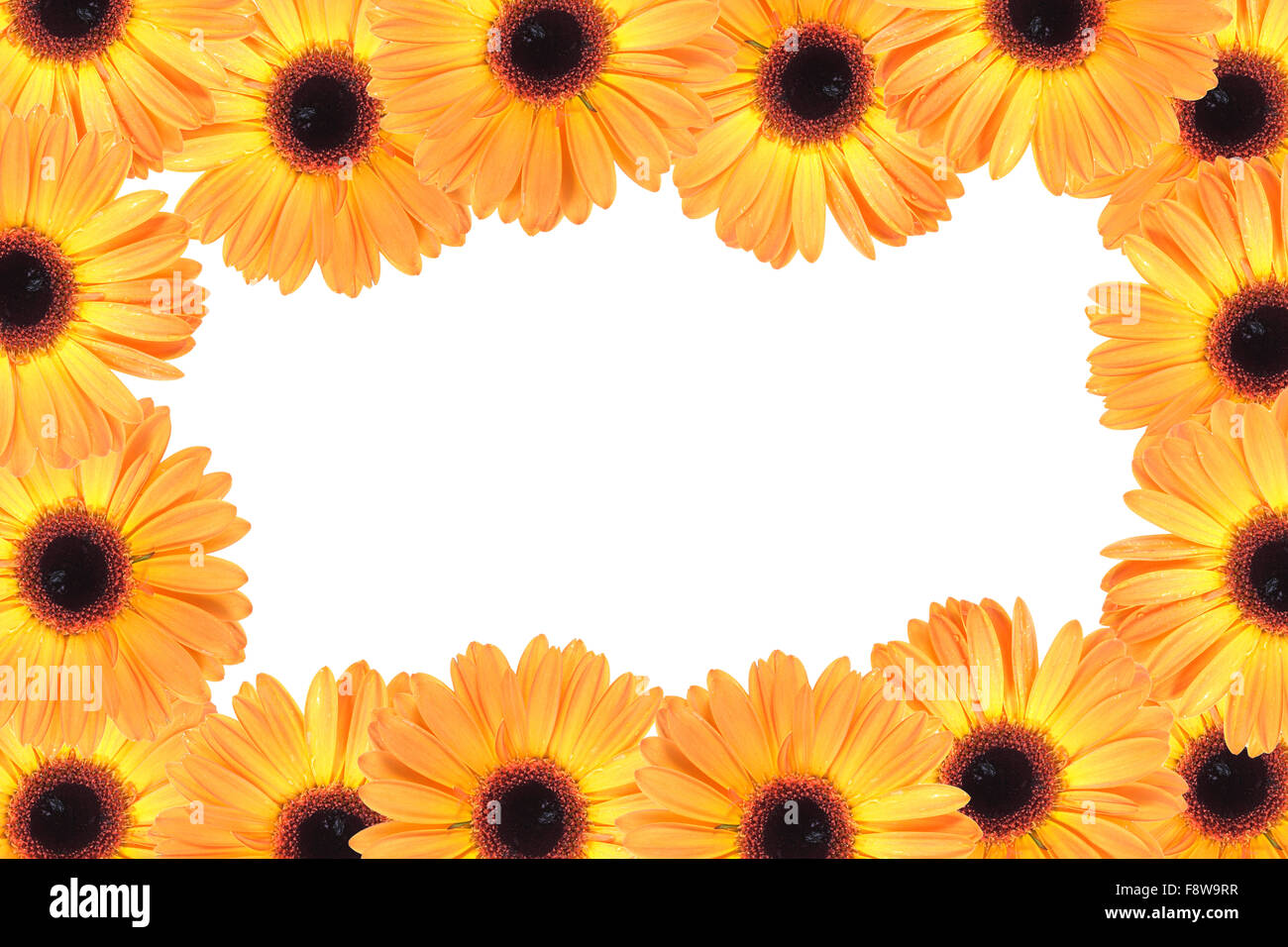 Abstract frame with orange flowers Stock Photo