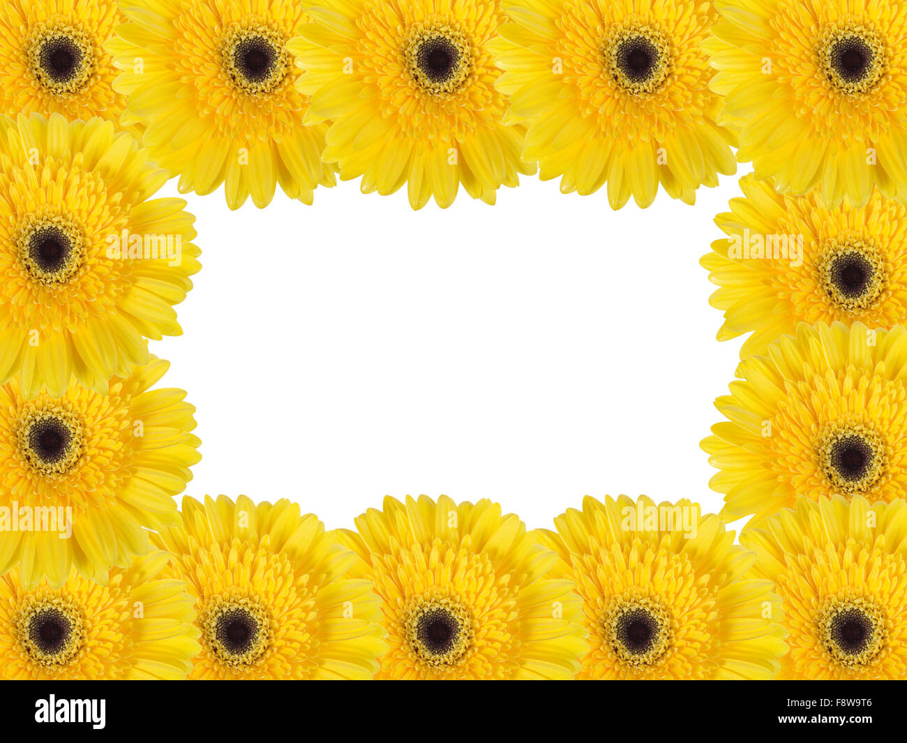 Abstract frame with yellow flowers Stock Photo
