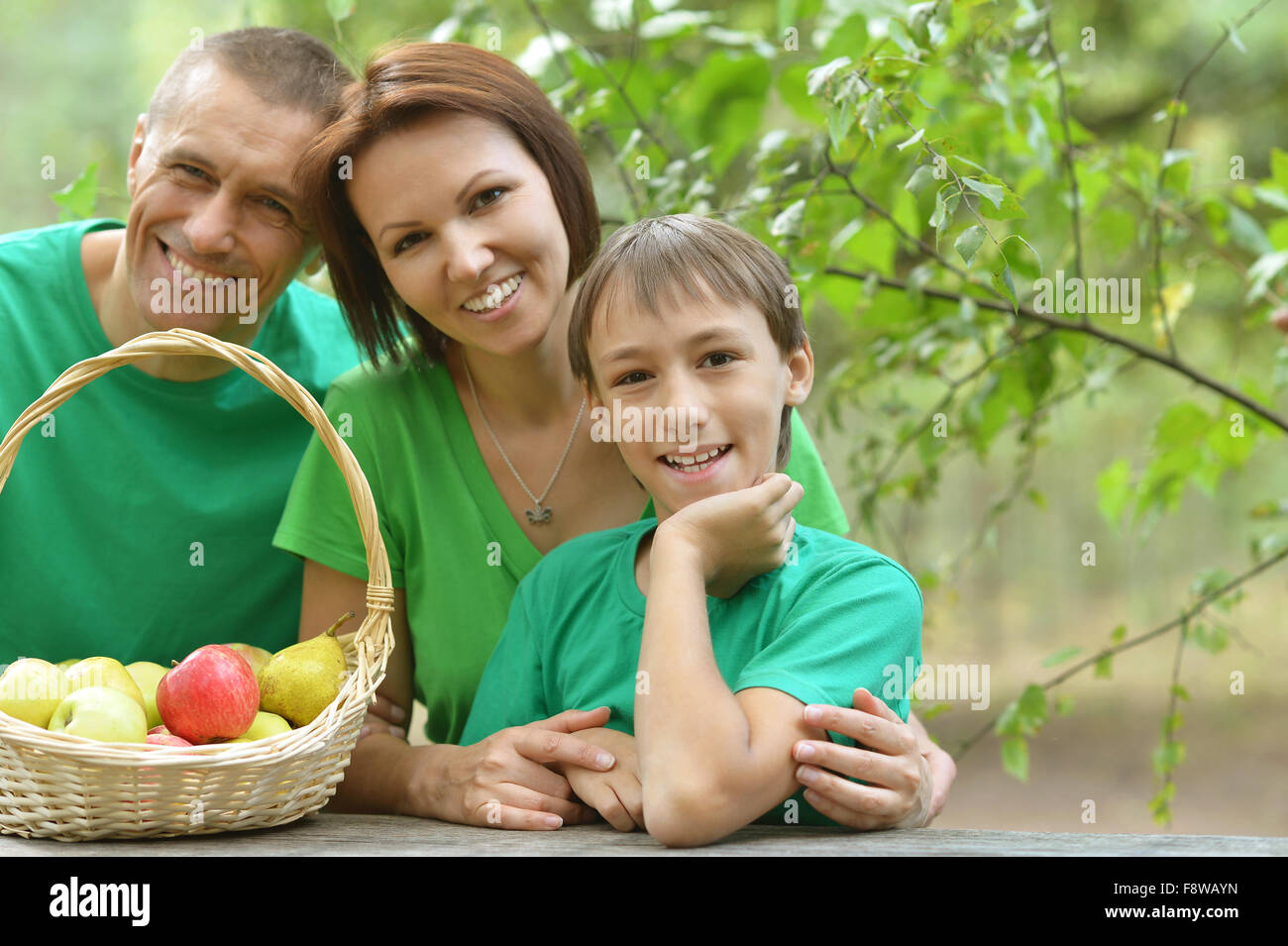 Family picnic basket park boy hi-res stock photography and images - Alamy