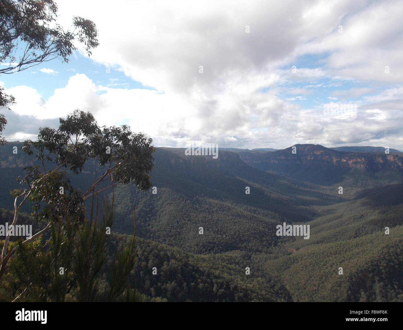 Blue mountains valley hi-res stock photography and images - Alamy