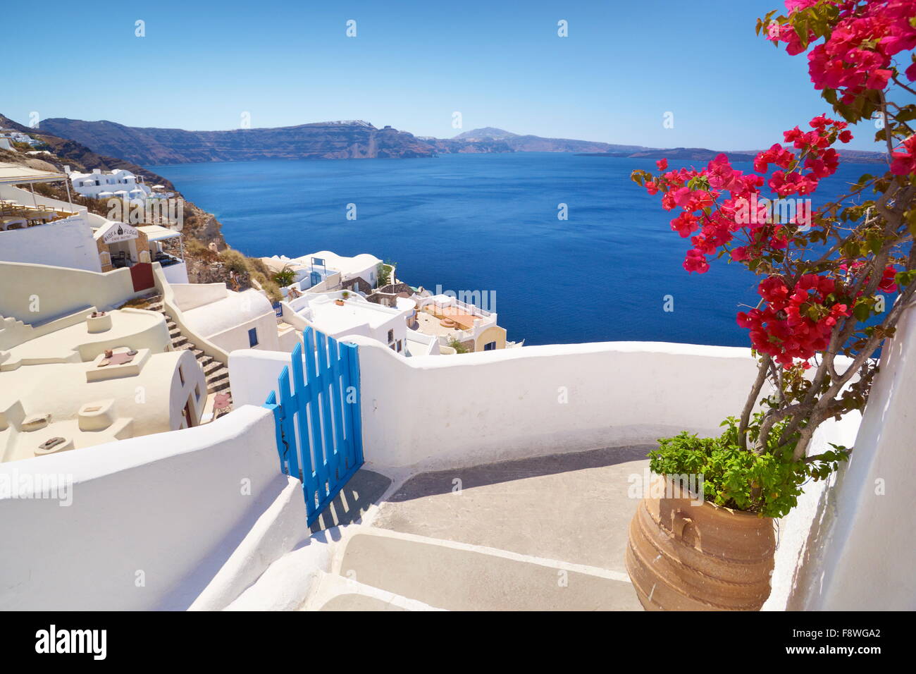 Santorini landscape with blooming flowers in Oia Town, Santorini Island, Cyclades, Greece Stock Photo