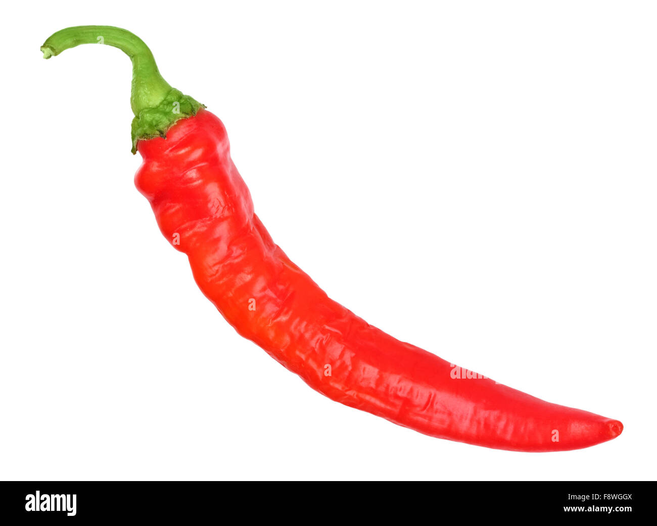 Single red fresh chillipepper Stock Photo Alamy
