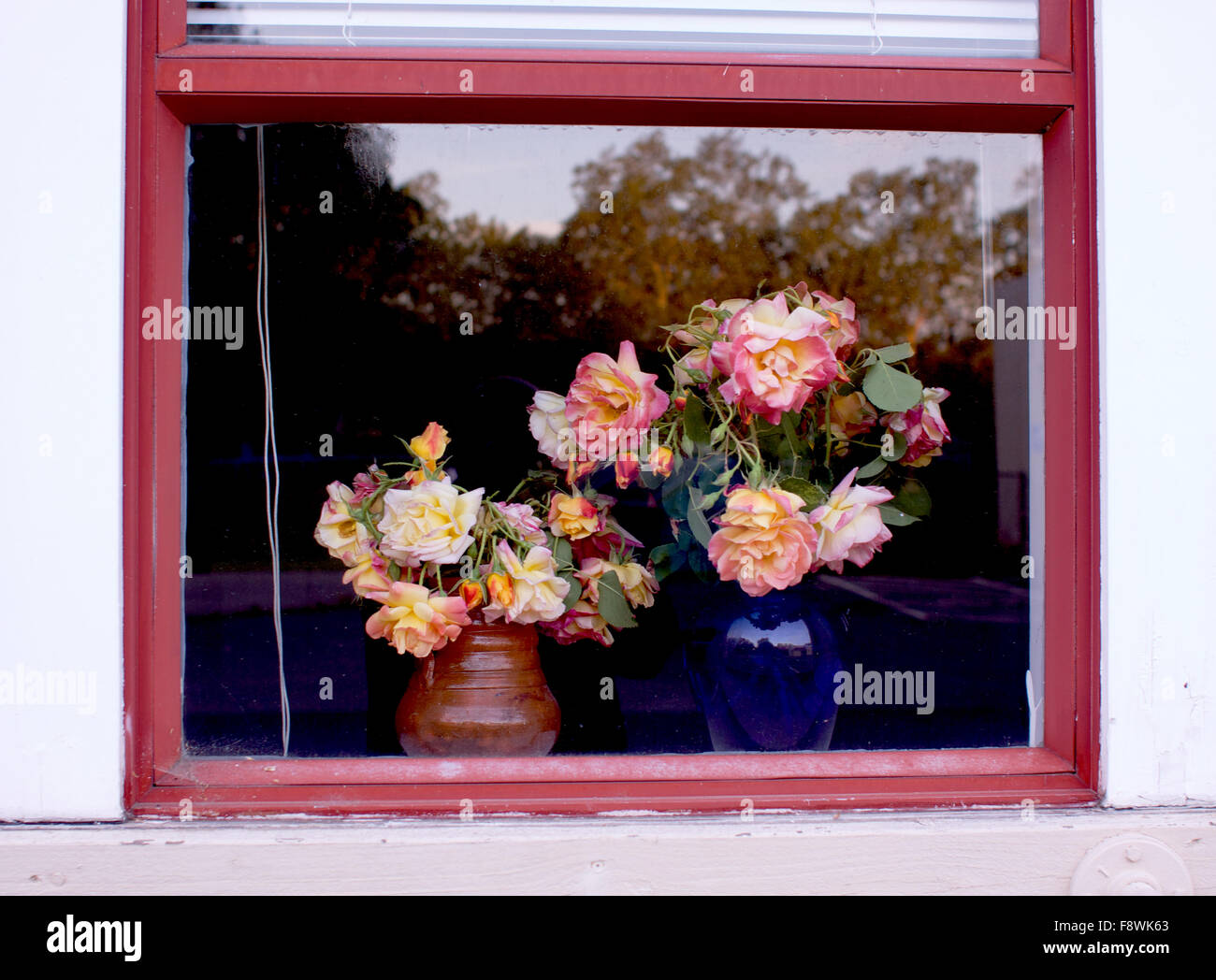 Flowers in a Window Frame Stock Photo - Alamy