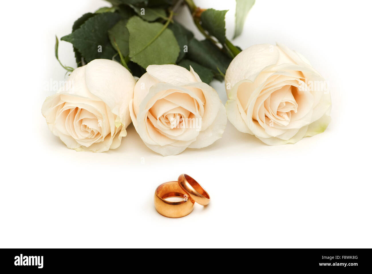 White roses isolated on the white background Stock Photo - Alamy