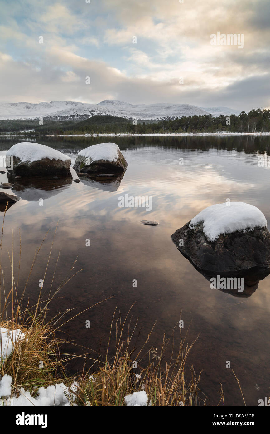 Loch Morlich Winter in the Cairngorms National Park of Scotland. Stock Photo