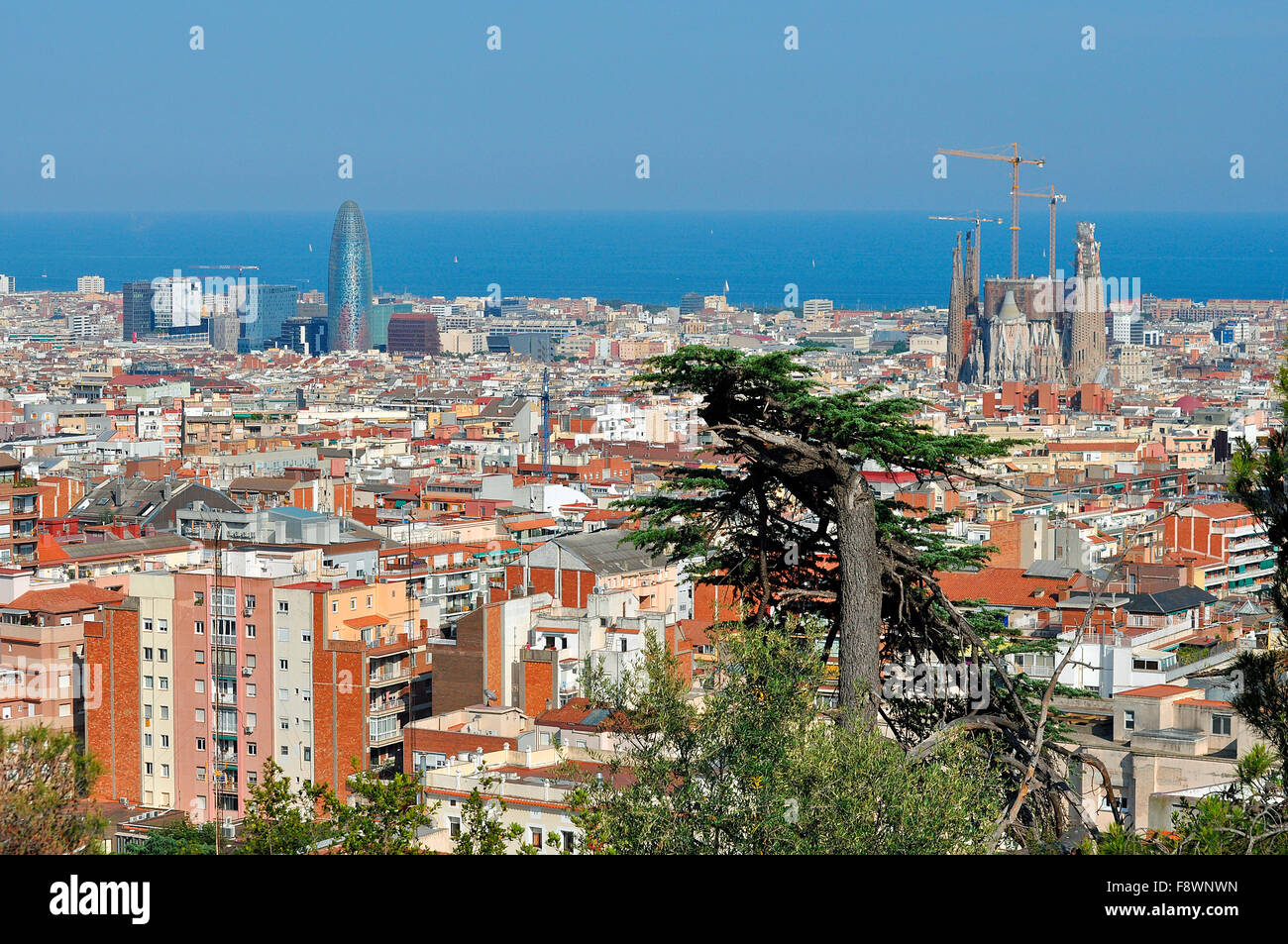 View from the Parc Güell towards the city with Sagrada Familia and Torre Agbar, Mediterranean Sea behind, Barcelona Stock Photo