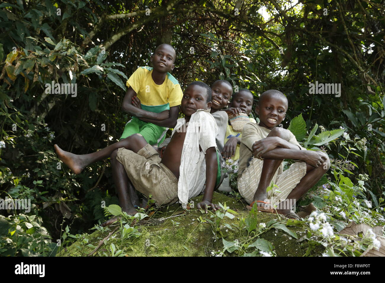 Children, boys sitting in the jungle, Matamba-Solo, Bandundu Province, Congo-Brazzaville Stock Photo