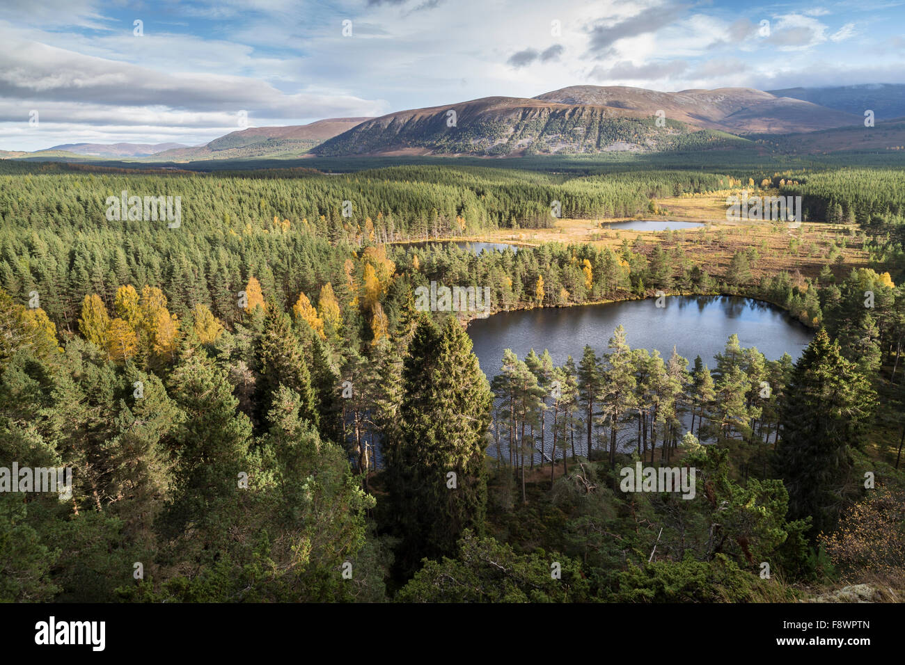 Uath Lochans in the Cairngorms. Stock Photo