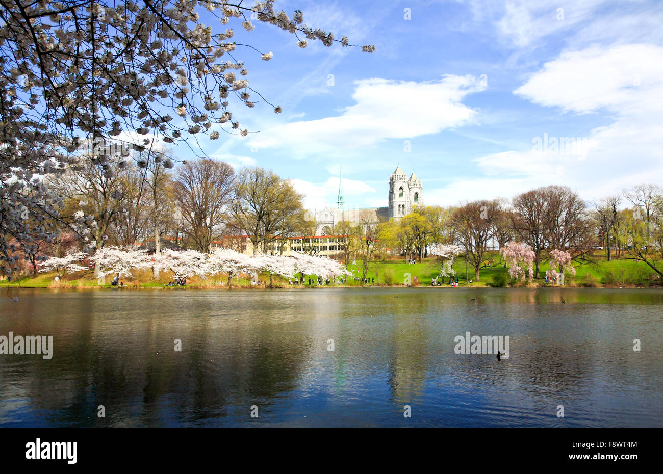 The Cherry Blossom Festival in New Jersey Stock Photo Alamy