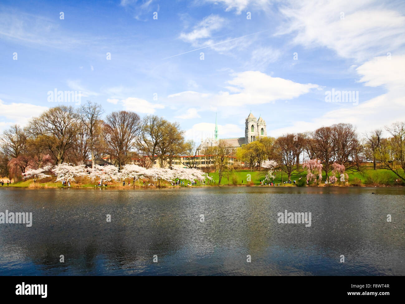 The Cherry Blossom Festival in New Jersey Stock Photo Alamy