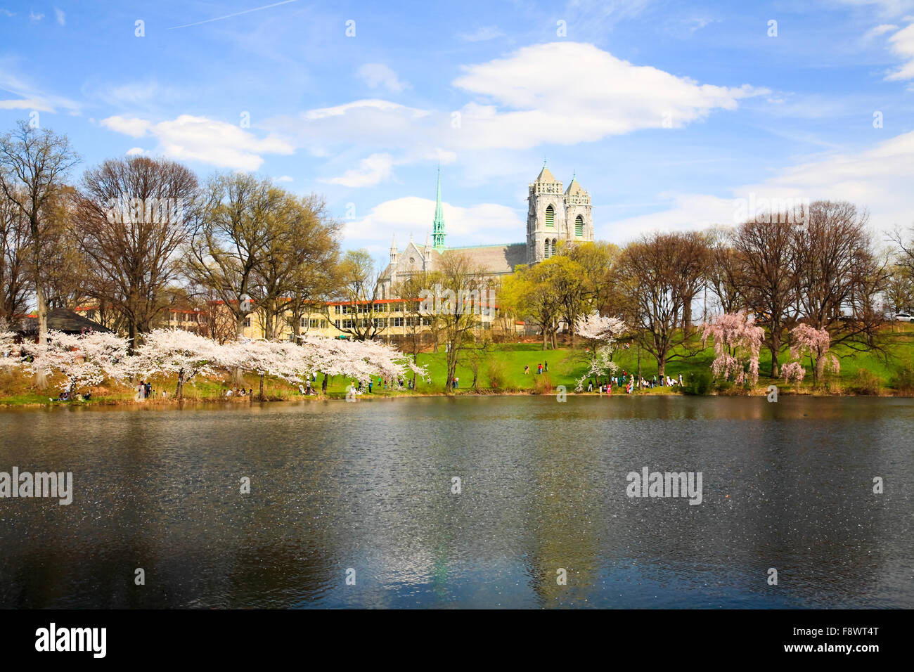 The Cherry Blossom Festival in New Jersey Stock Photo Alamy