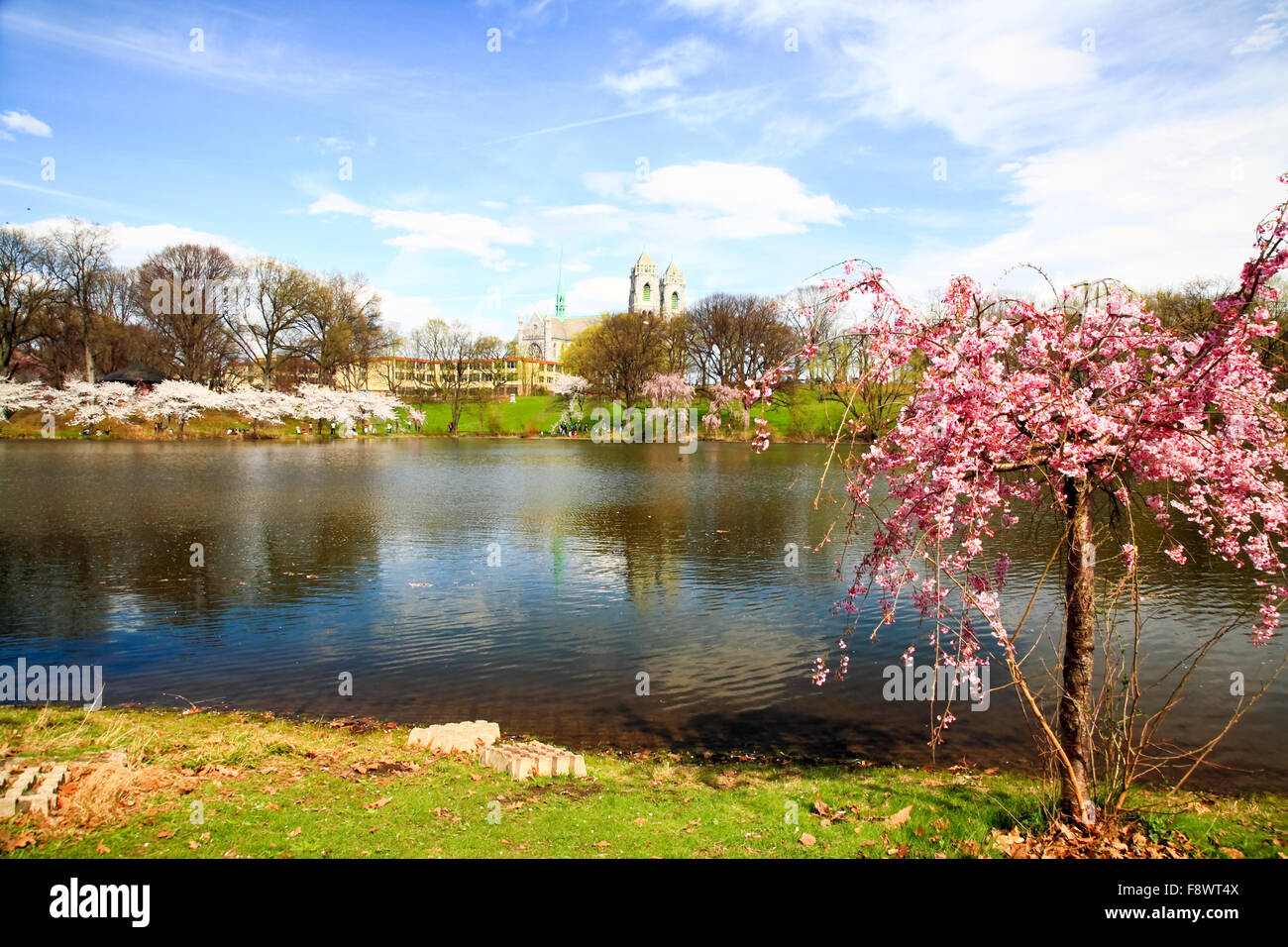 The Cherry Blossom Festival in New Jersey Stock Photo Alamy