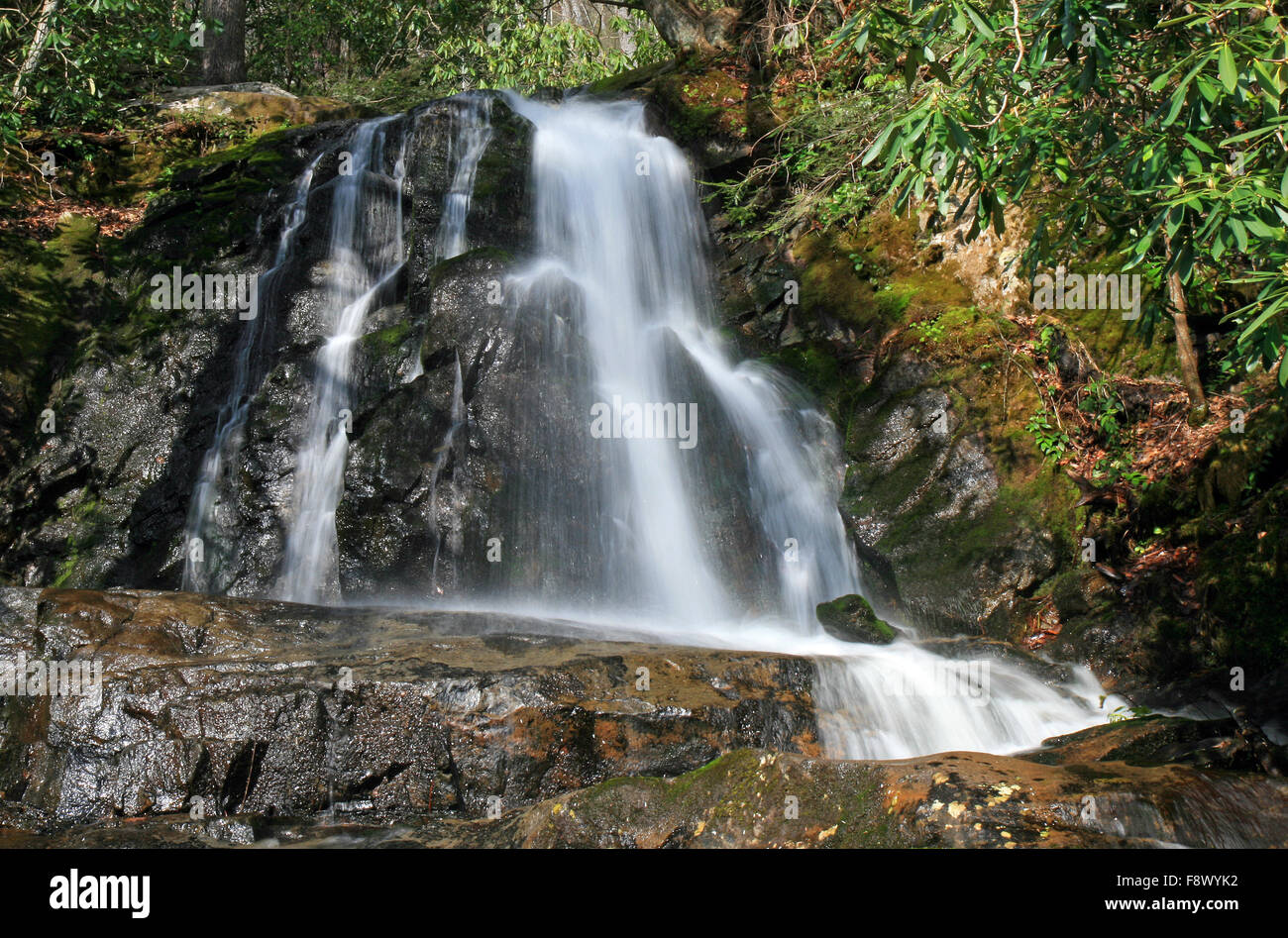 Laurel Falls in the Smoky Mountains NP Stock Photo