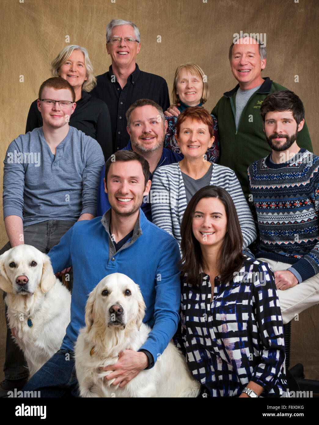Studio portrait of family including three sisters, spouses & grown children & two Platinum colored Golden Retriever dogs Stock Photo