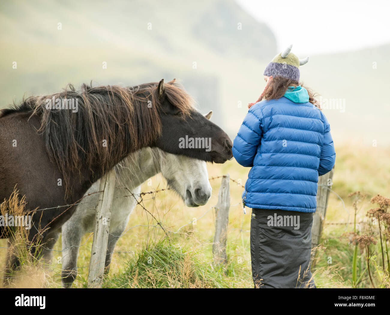 Outside of Vik. Woman interacting with Icelandic horses. Stock Photo