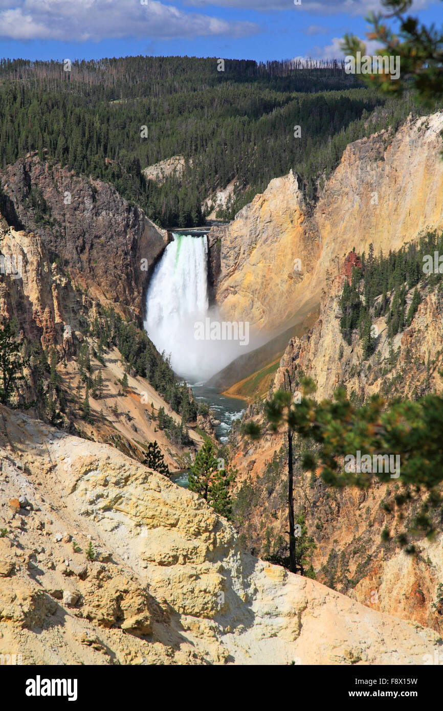 The Grand Canyon of the Yellowstone Stock Photo - Alamy