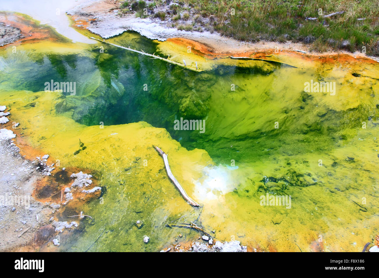 West Thumb Geyser Basin in Yellowstone Stock Photo - Alamy