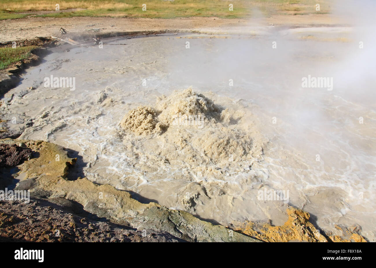 Mud Volcano area in Yellowstone Stock Photo - Alamy