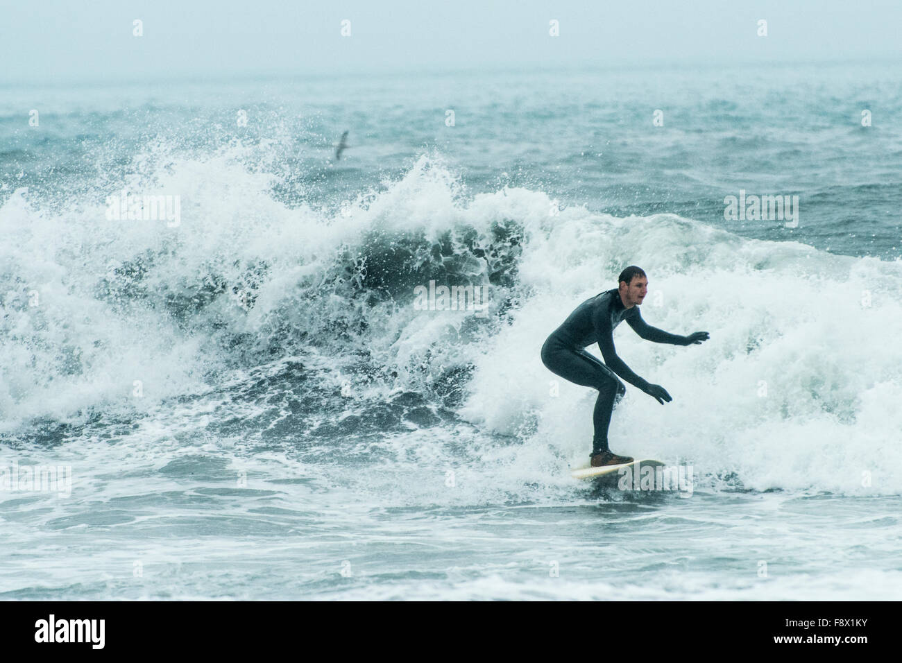 Outside of Vik. Man surfing waves at black sand beach. Stock Photo