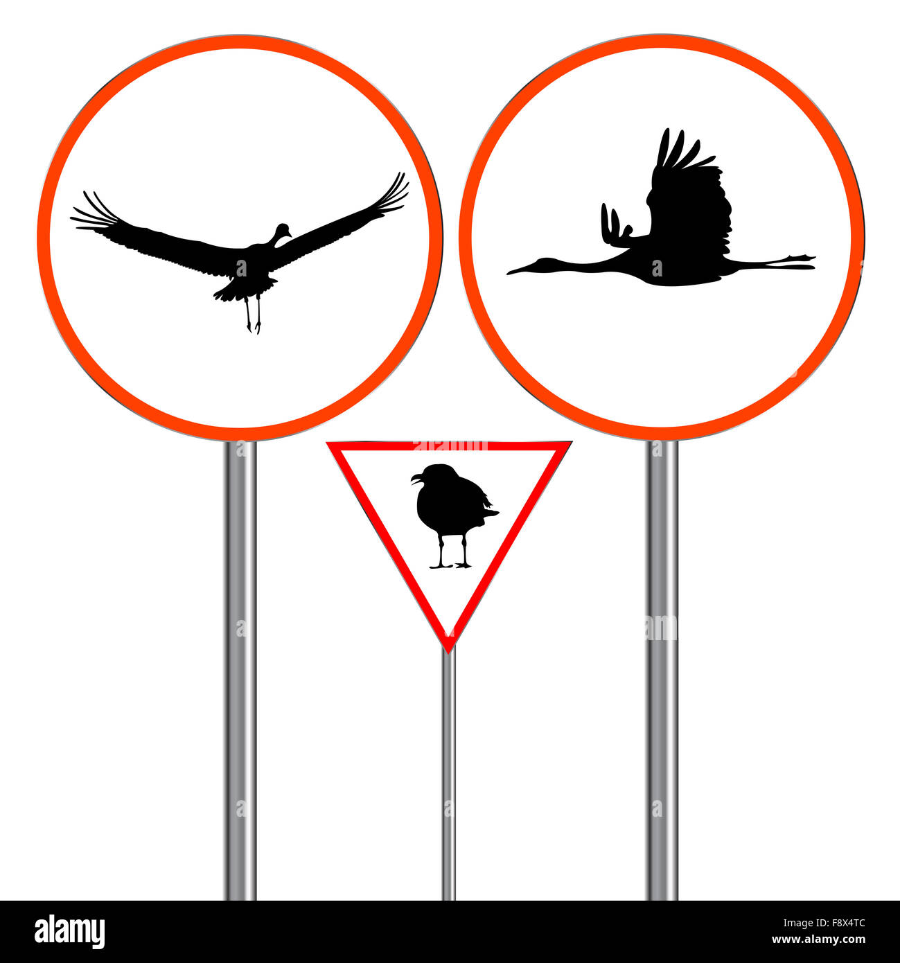 birds traffic sign Stock Photo - Alamy