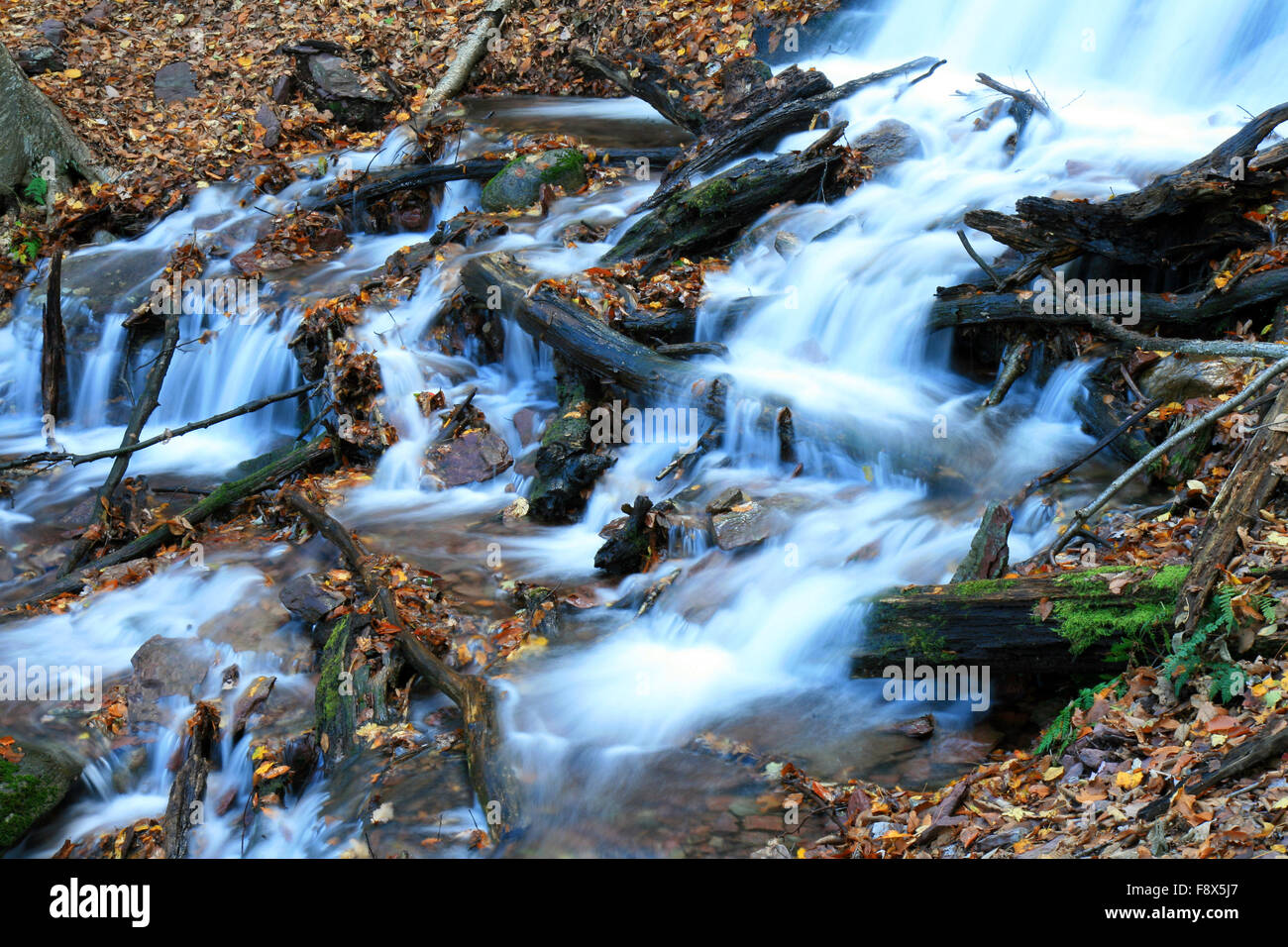 The Douglas Falls Stock Photo - Alamy