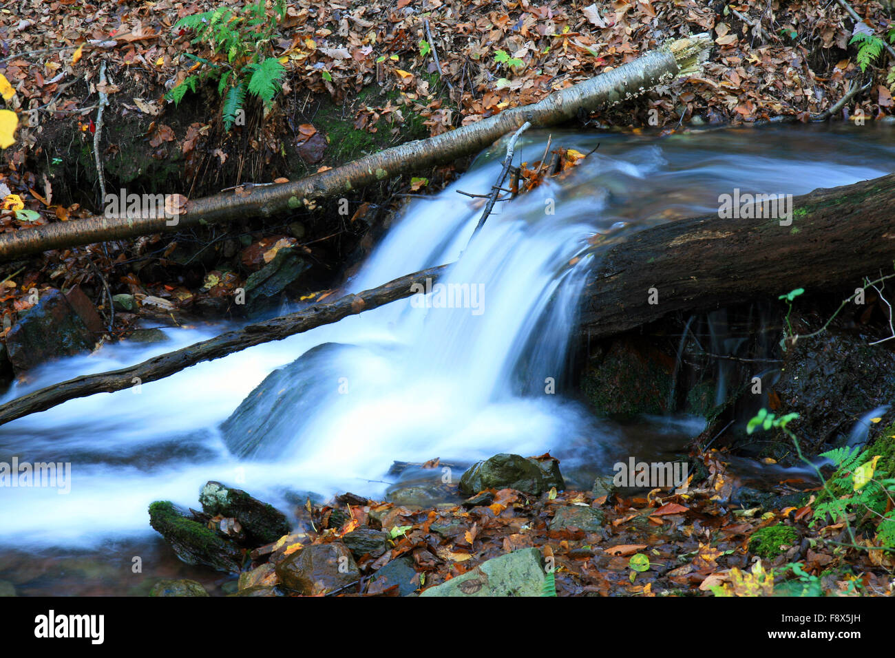 The Douglas Falls Stock Photo - Alamy