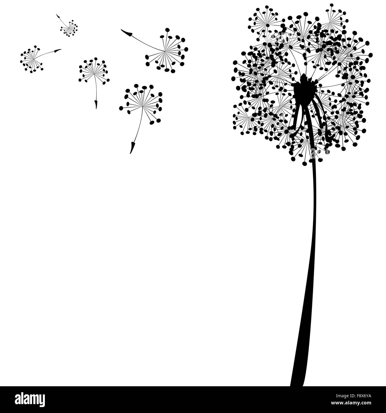 Dandelion seed head silhouette Black and White Stock Photos & Images ...