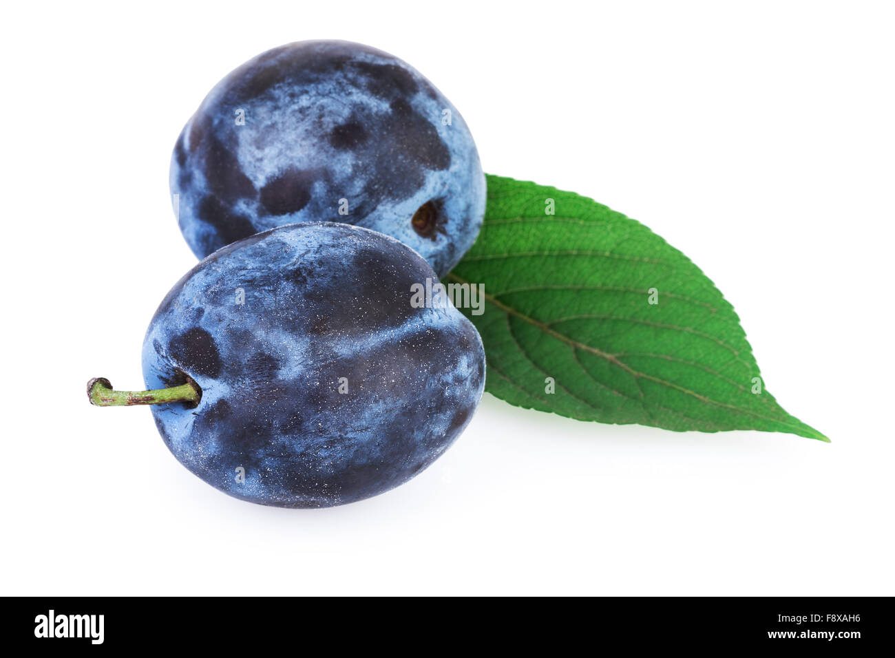 Plum fruit hires stock photography and images Alamy