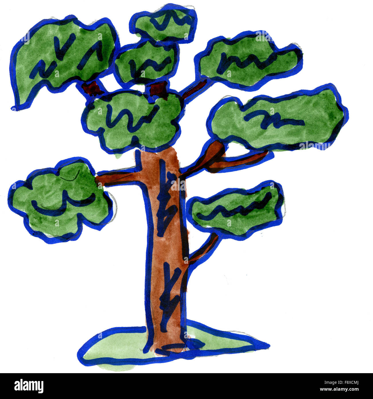 oak is isolated on a white background Stock Photo - Alamy
