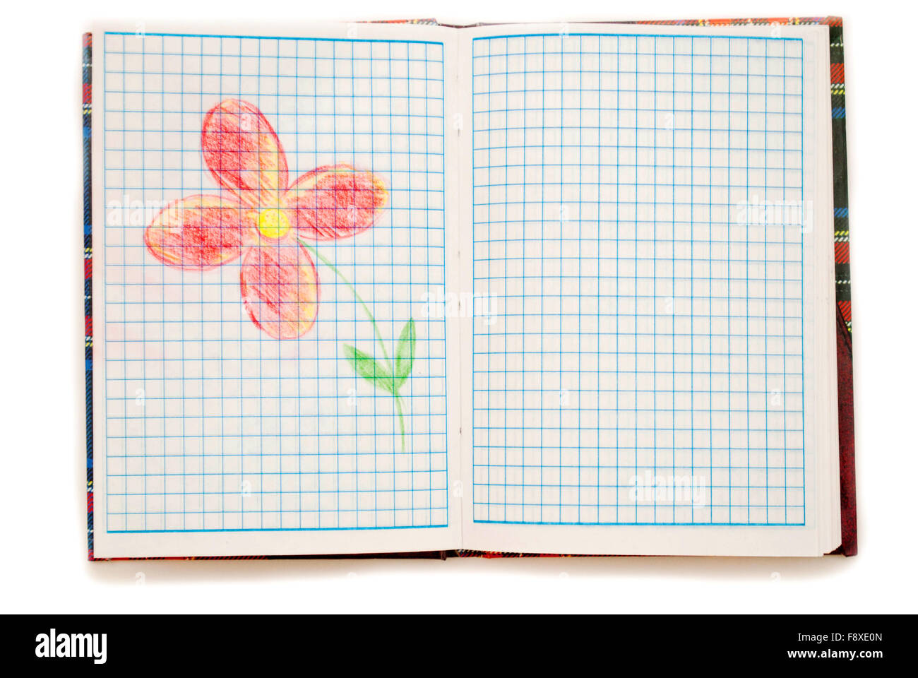 Drawing flower in a notebook on white background Stock Photo - Alamy
